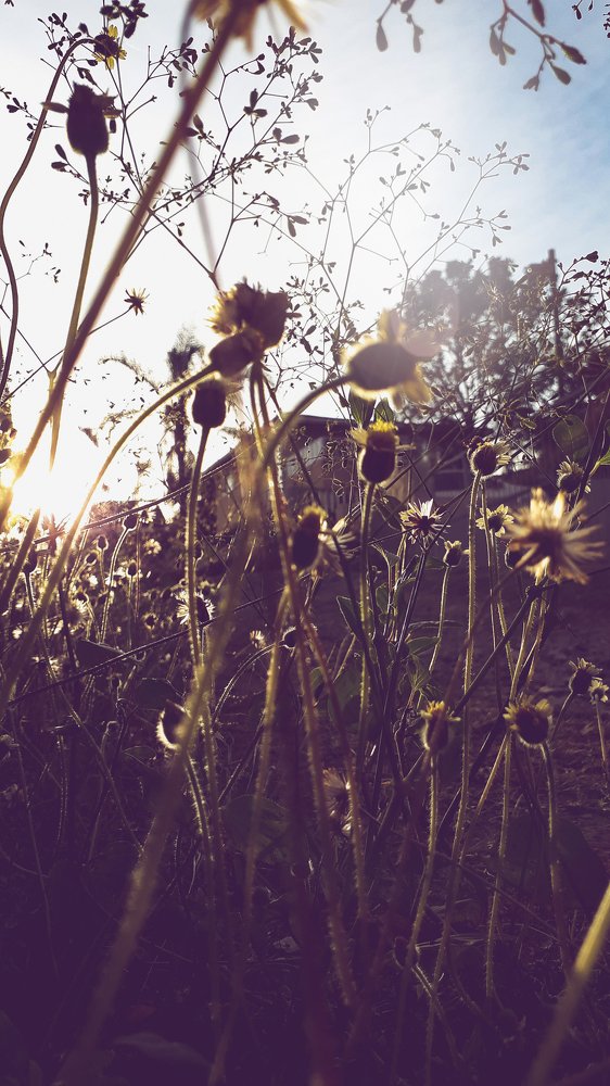 Photograph by Shimica Nowrotham