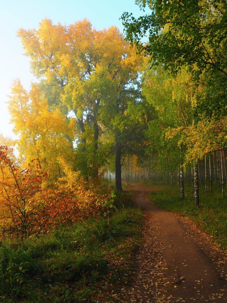 Яркие краски.