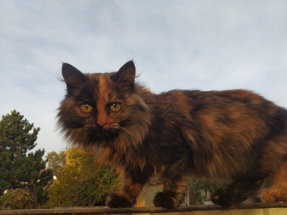 Photograph by Алена Бржезицкая