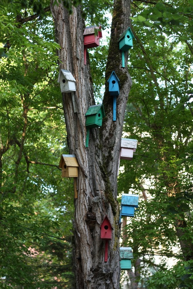 Коммуналка