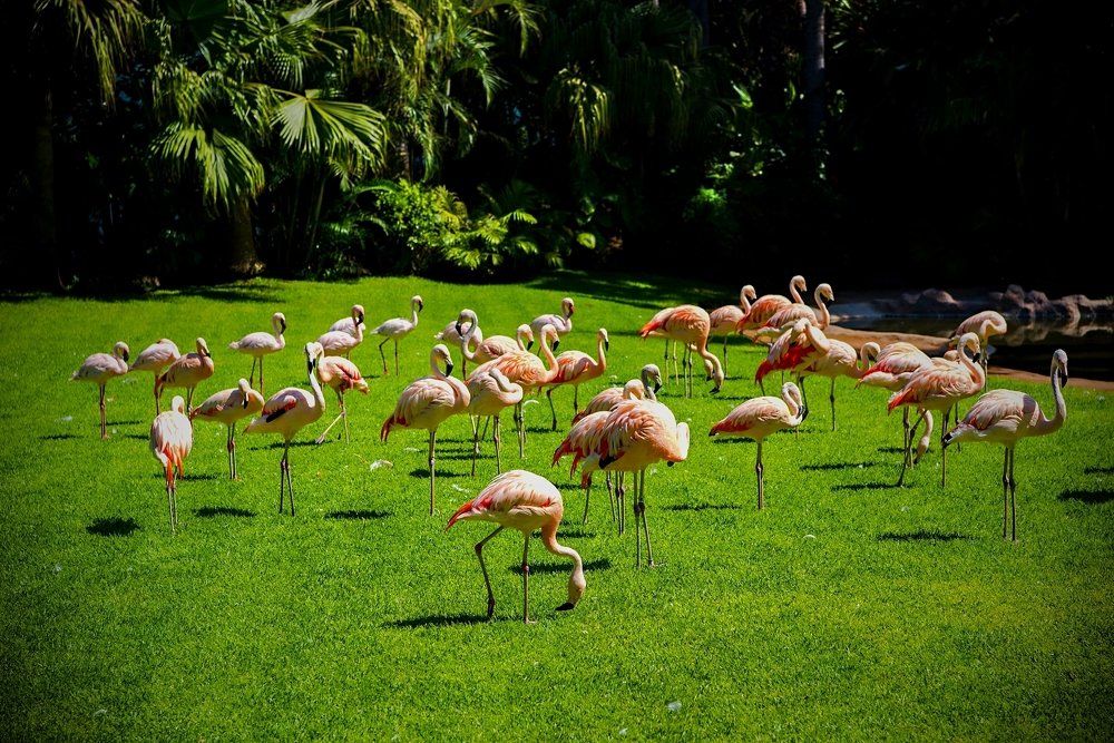 Photograph by Milan Uhrin