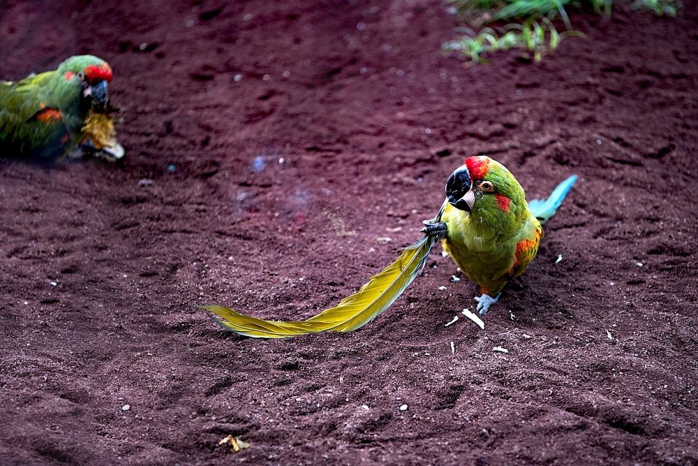 Photograph by Milan Uhrin