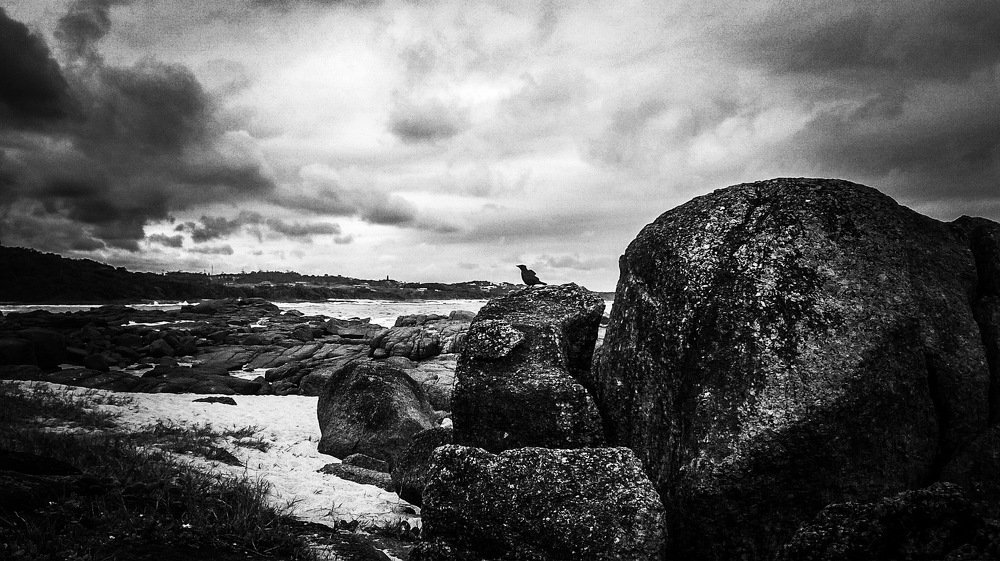 Photograph by Shimica Nowrotham