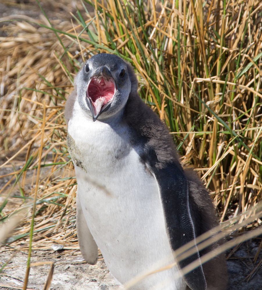 Photograph by Галина Михоношина