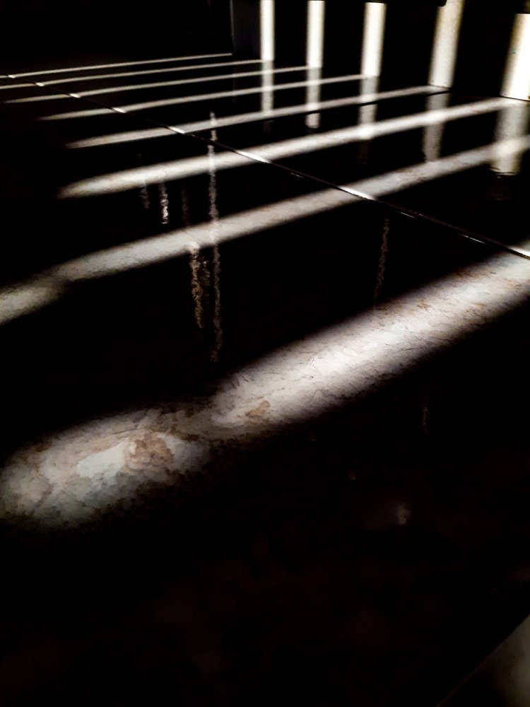 Photograph by Shimica Nowrotham