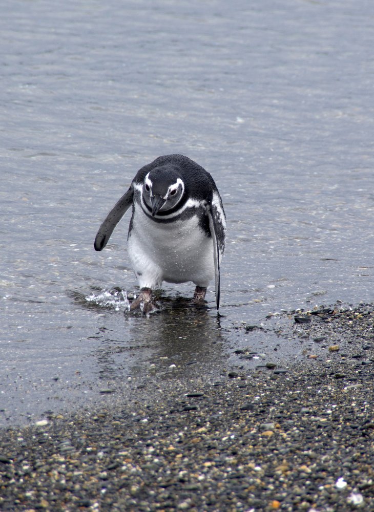 Photograph by Галина Михоношина