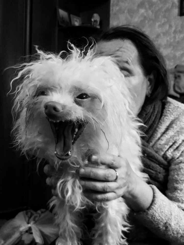 Photograph by Татьяна Пименкова