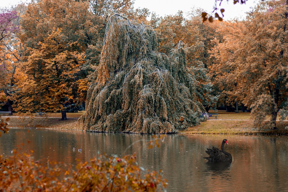 Photograph by Наталья Шалкевич