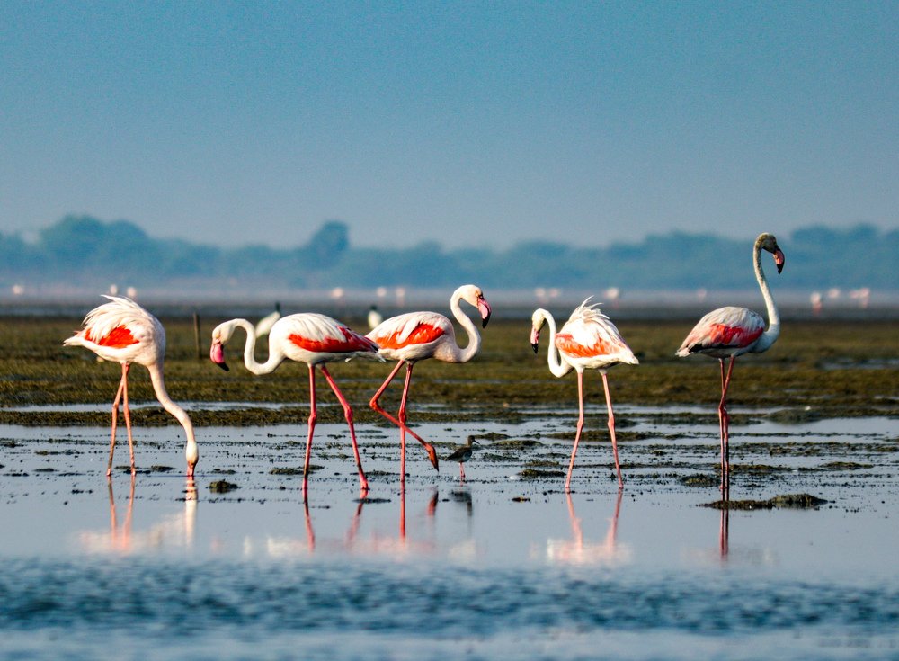 Фотография автора Anantha Rajkumar