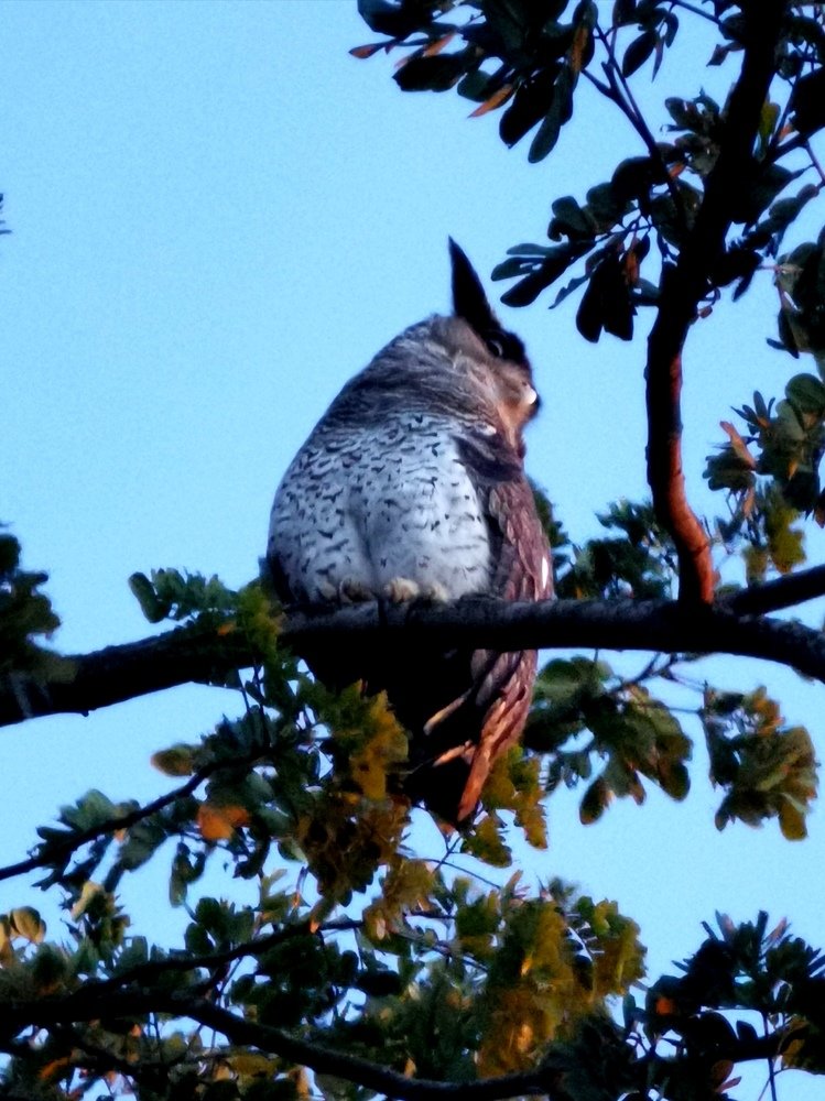 Photograph by Chunhou Poon