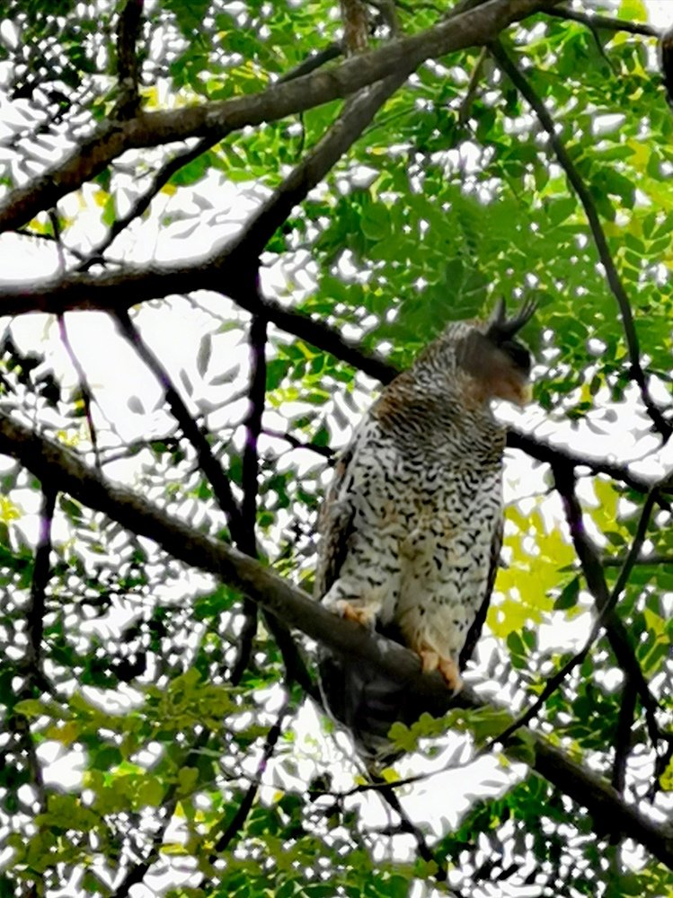 Photograph by Chunhou Poon