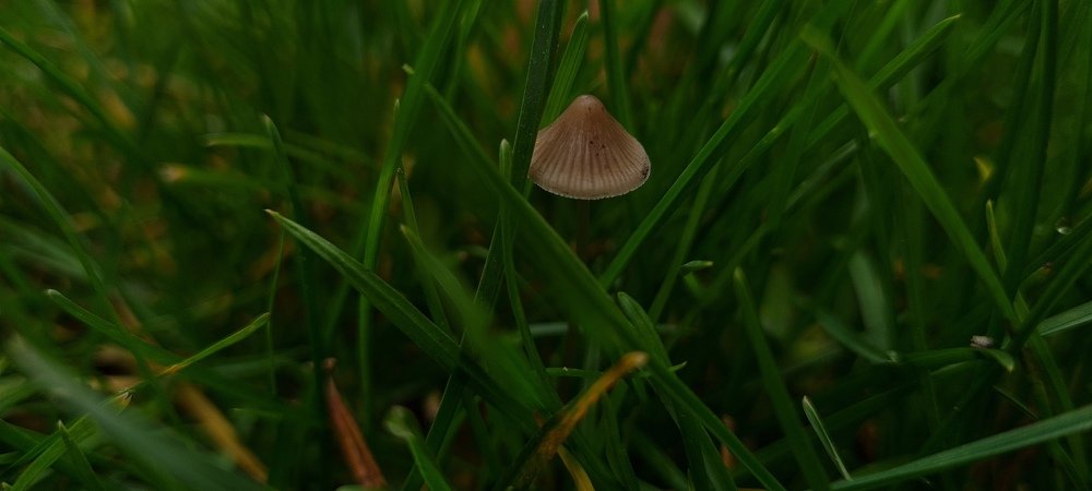 Photograph by Дария Андриенко