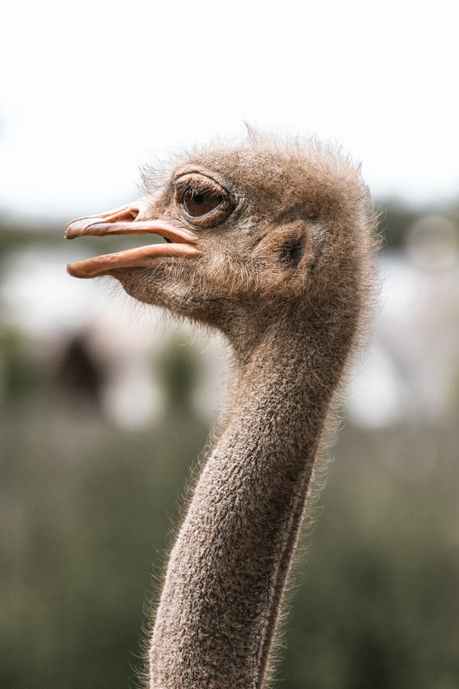 Photograph by Ирина Иванова