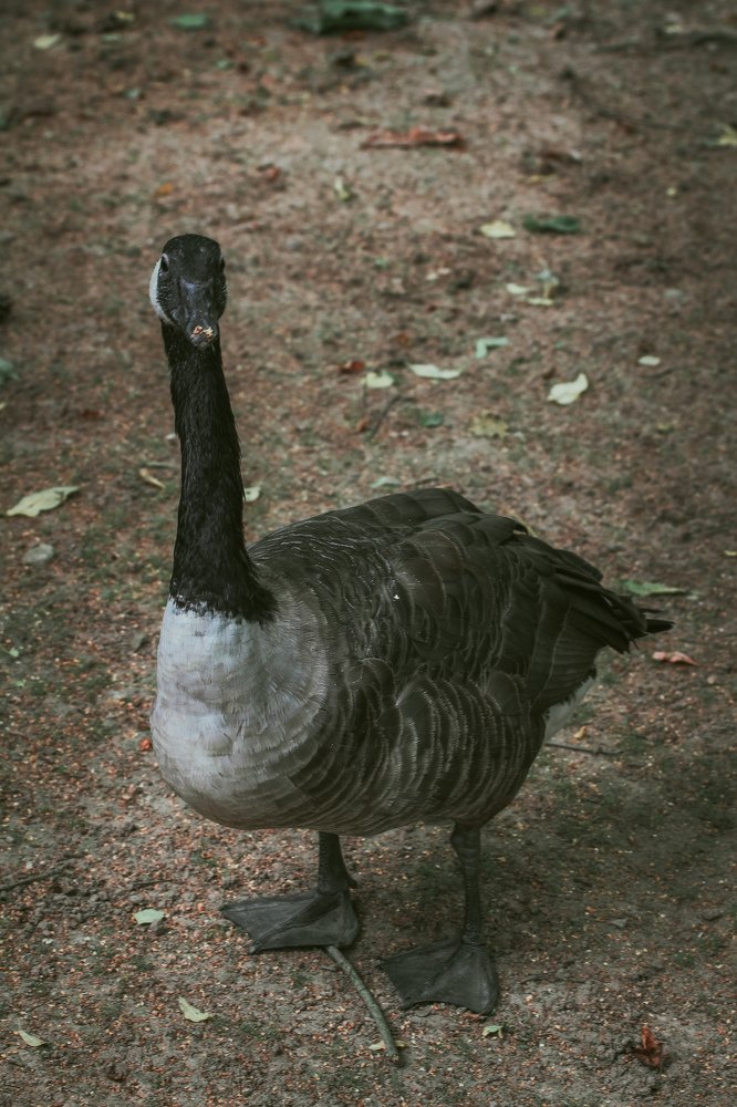 Photograph by Ирина Иванова