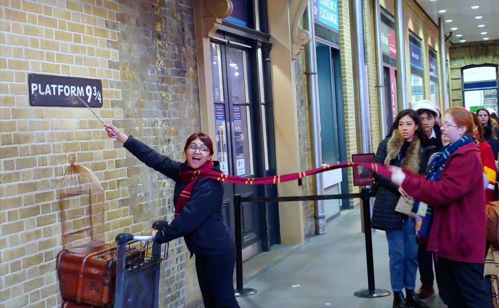 Let me In! searching for Harry Potter