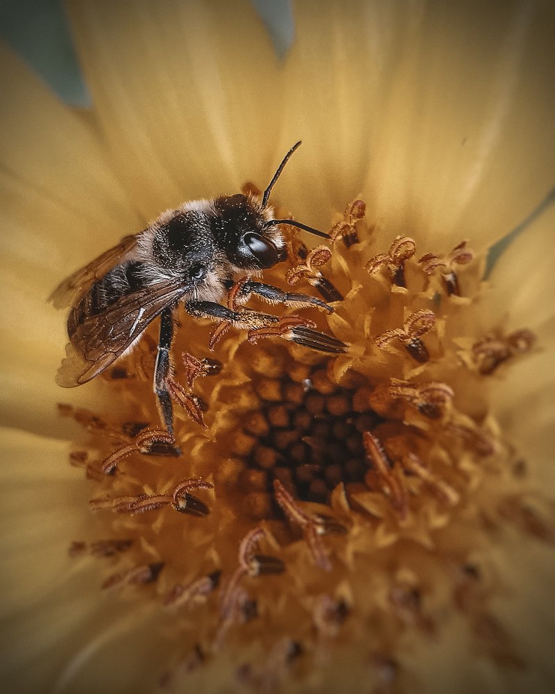 Photograph by Ирина Иванова