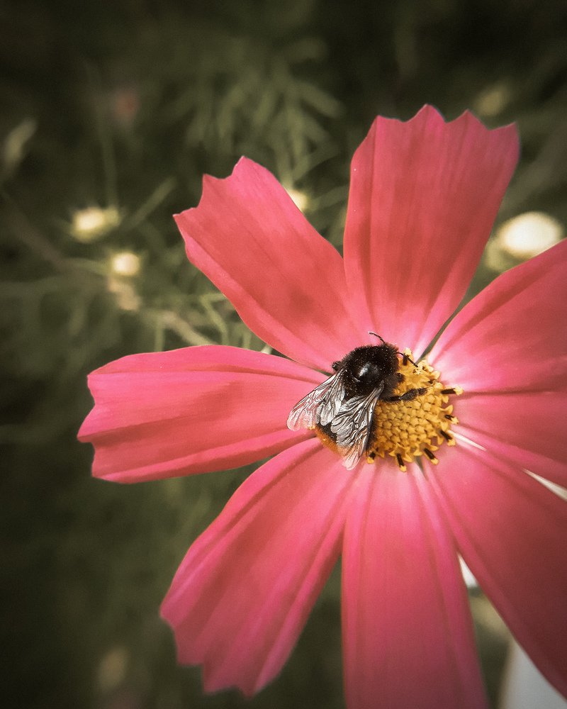 Photograph by Ирина Иванова