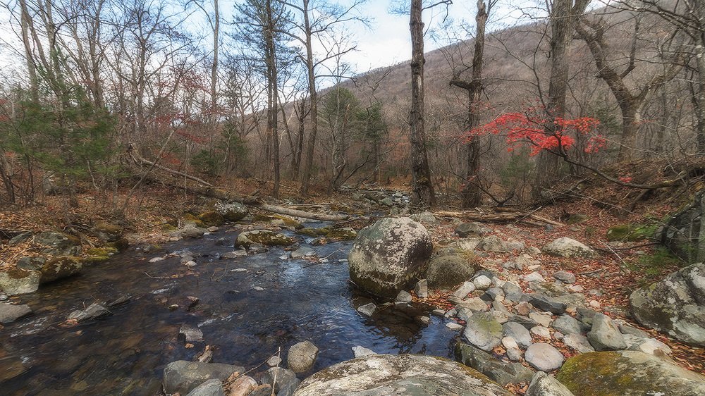 Photograph by Жанетта