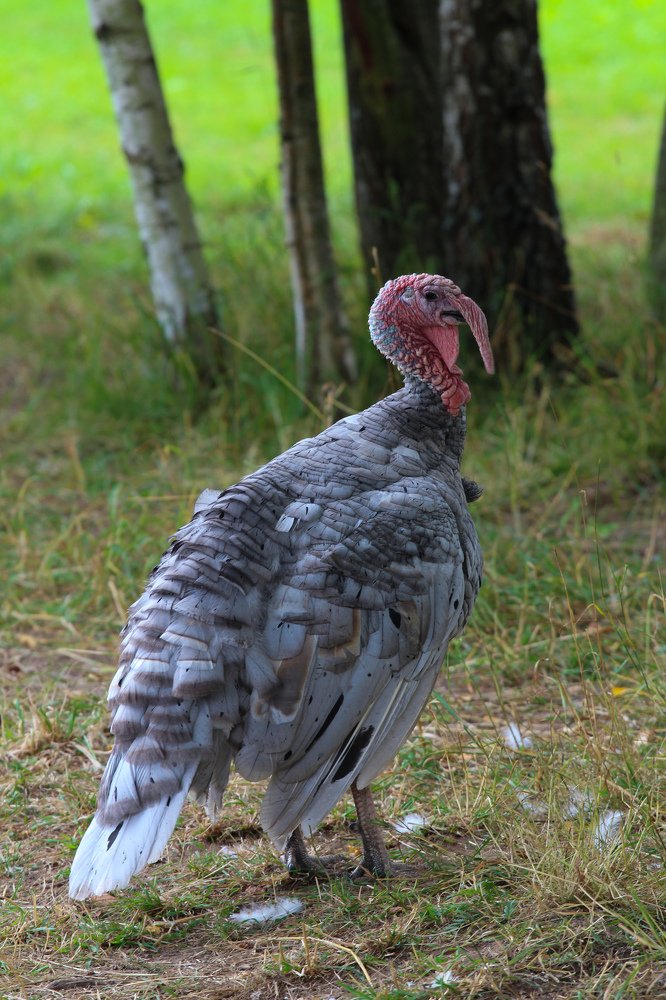 Photograph by Ирина Иванова