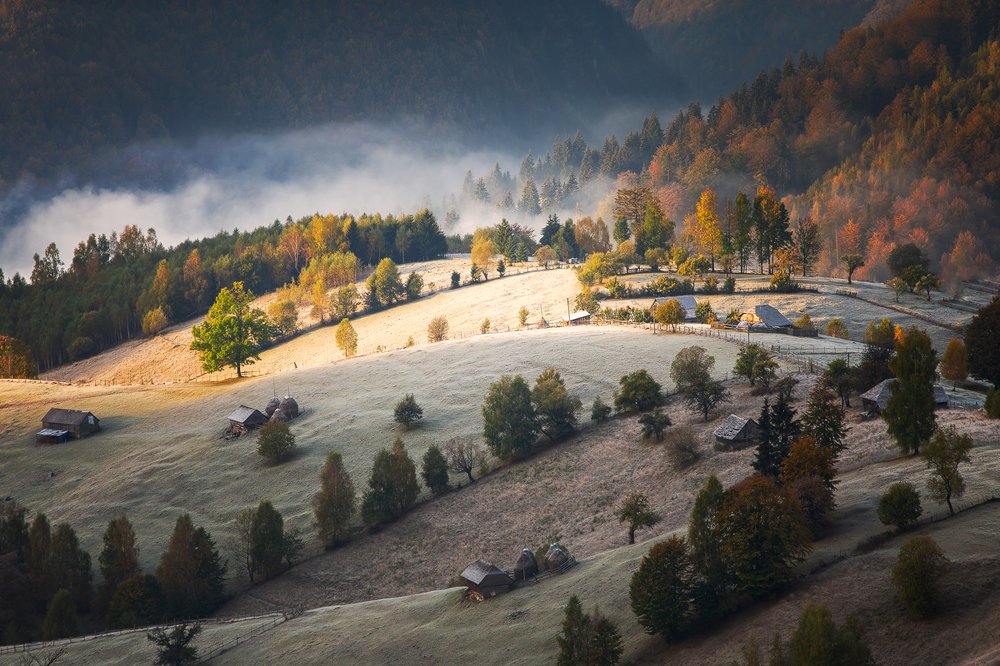 Photograph by Alex Coman