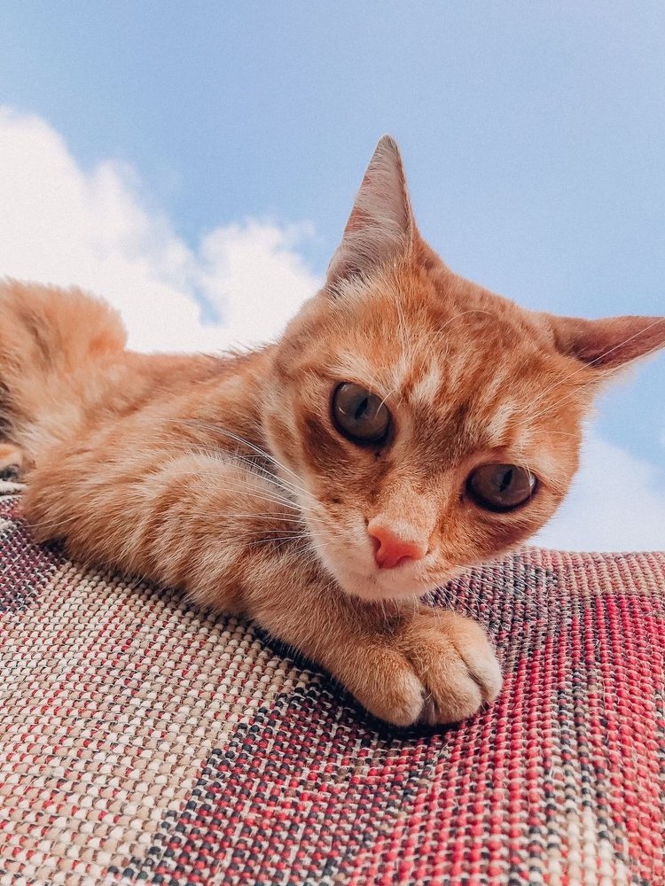 Photograph by Светлана Чорна