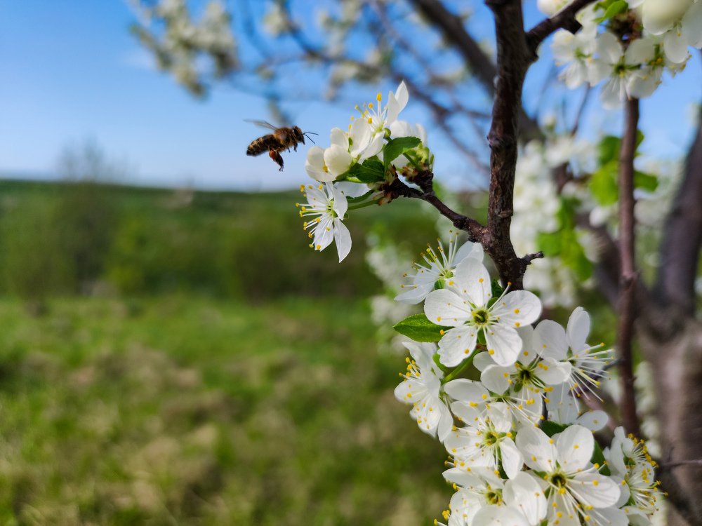 Photograph by Марат Вахитов
