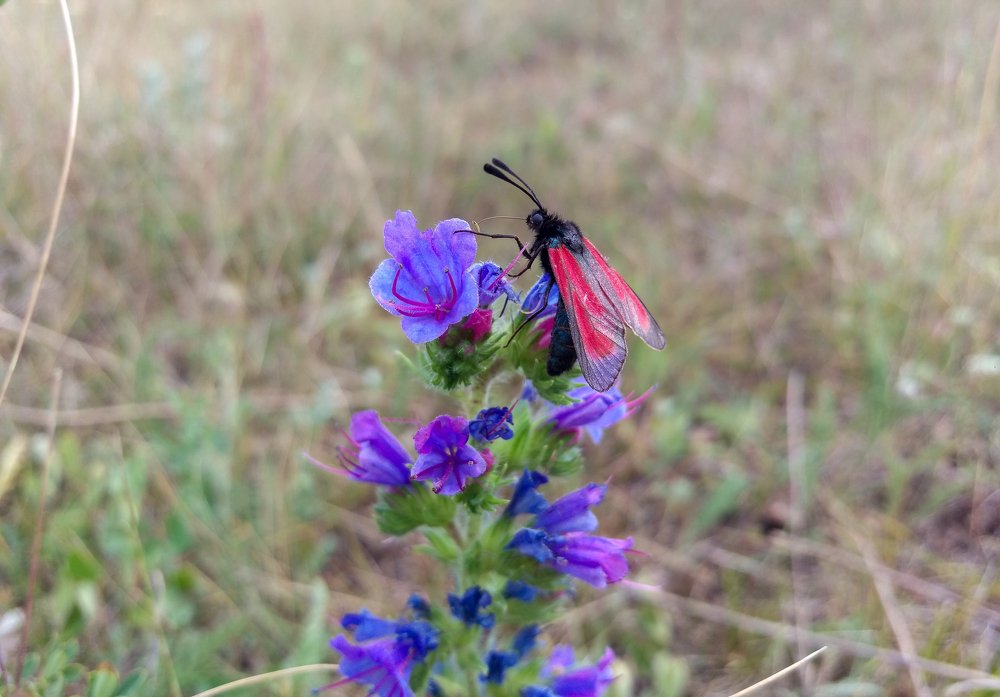 Photograph by Марат Вахитов