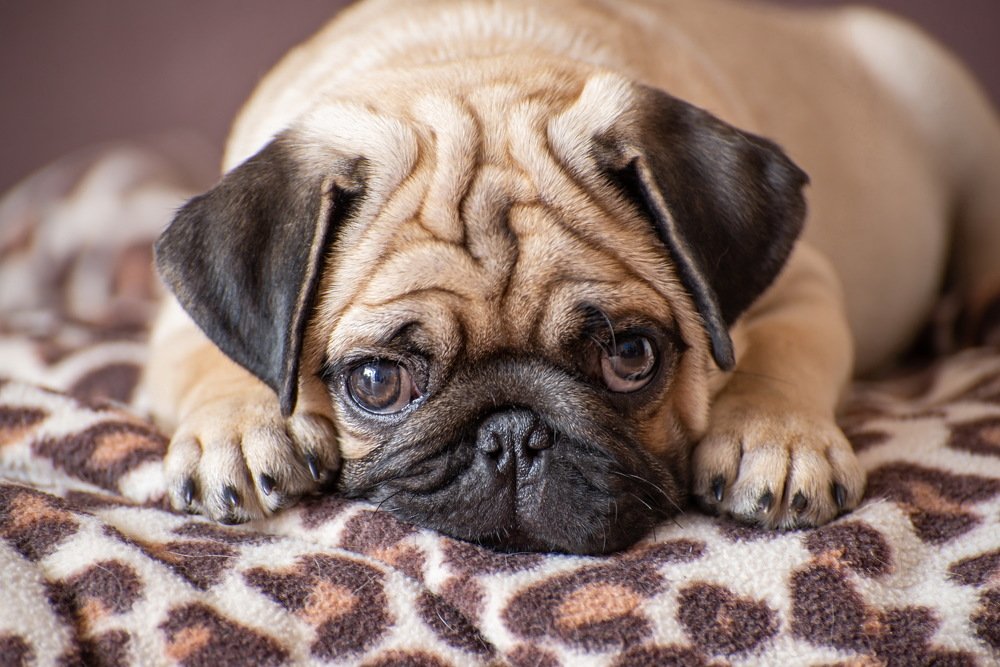 Photograph by Евгений Дроботенко