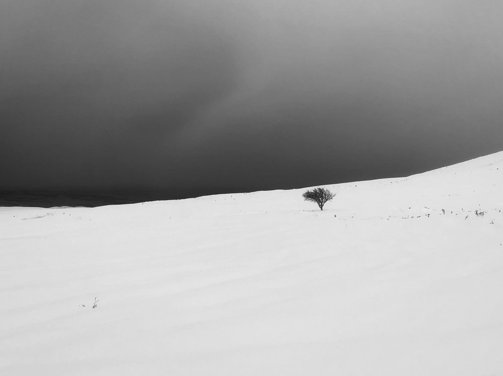 Photograph by Hamed Qane