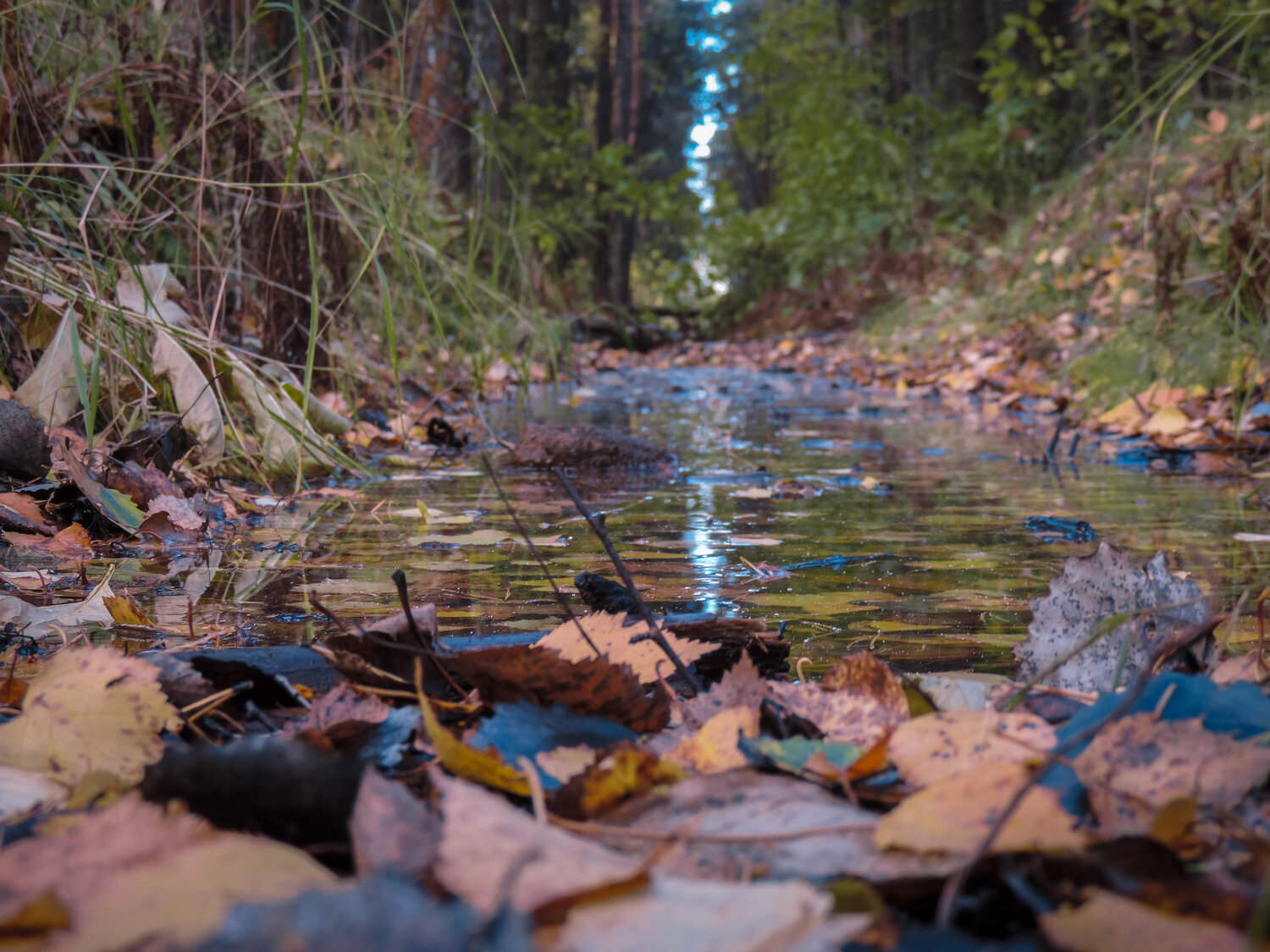 Photo #5130155