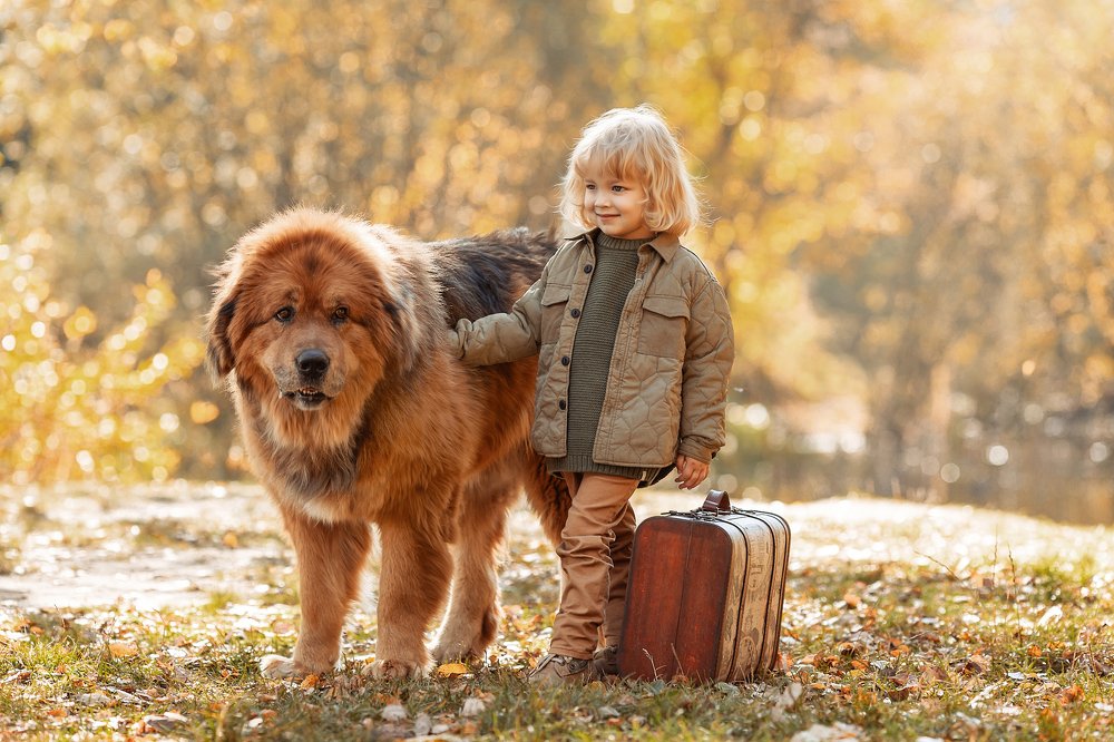 Photograph by Екатерина Коломеец