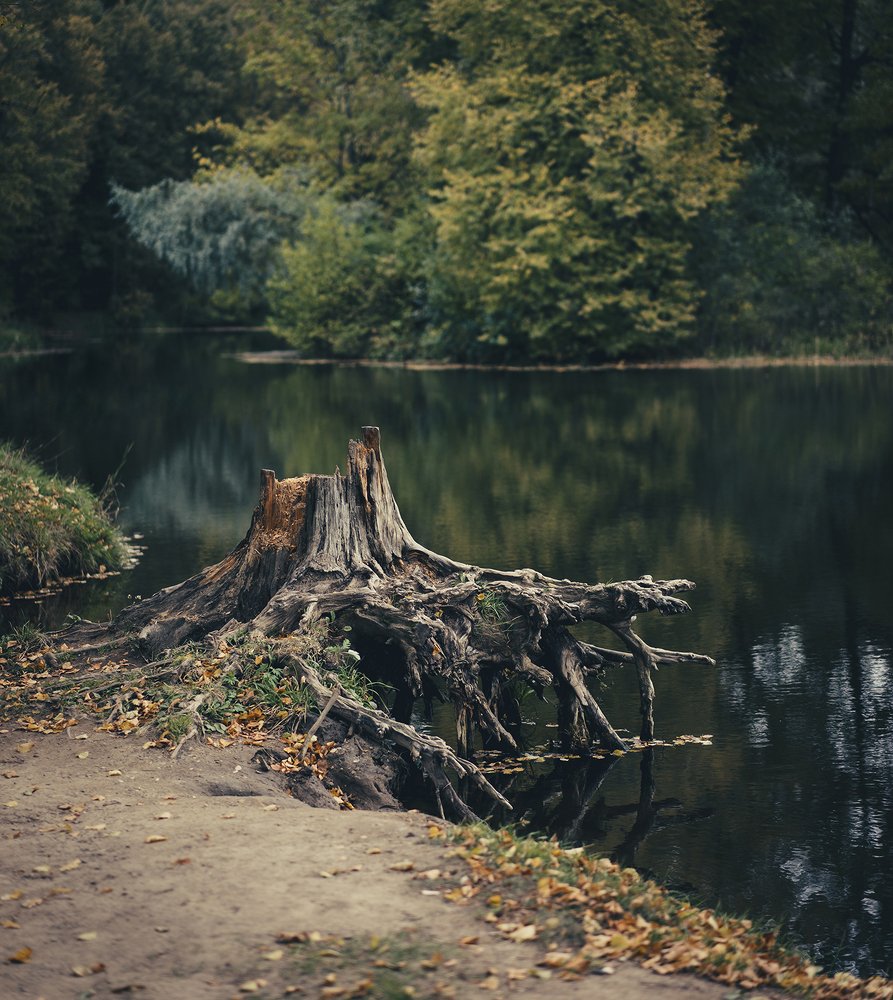 Photograph by Дмитрий Степаненко