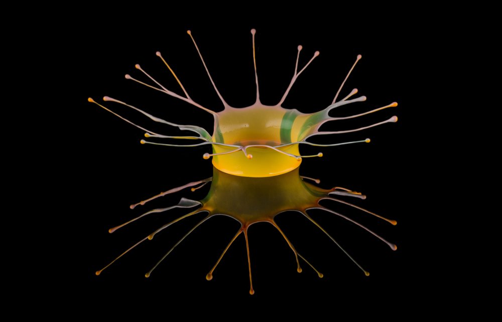 Photograph by Сергей Чупахин