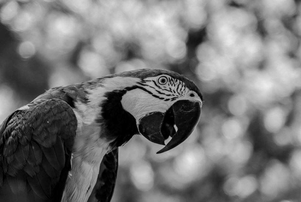 Photograph by Mahnaz Seif
