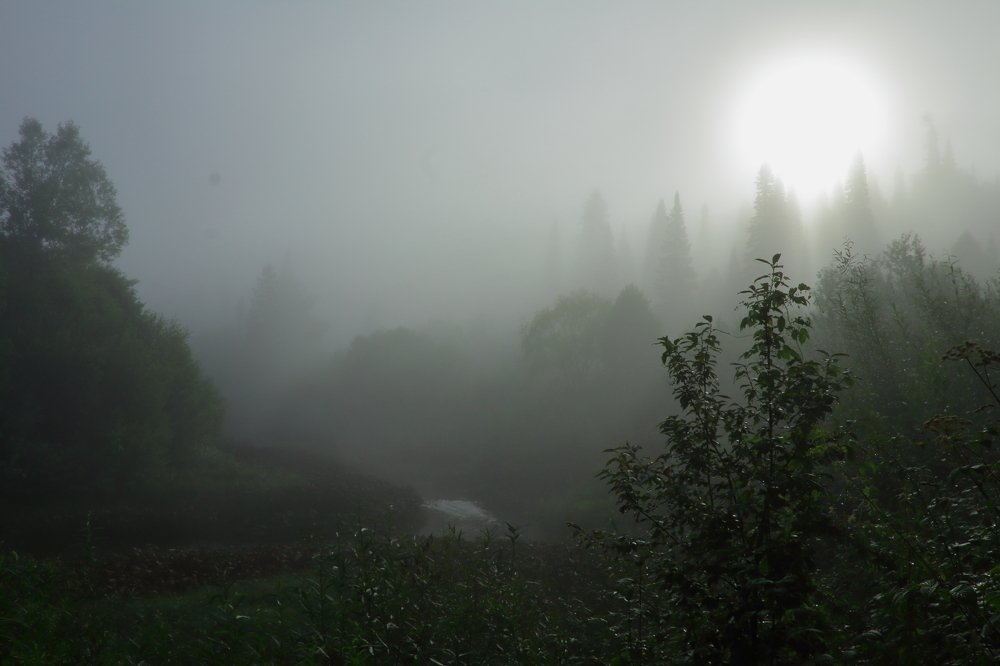 Утро туманное, утро седое