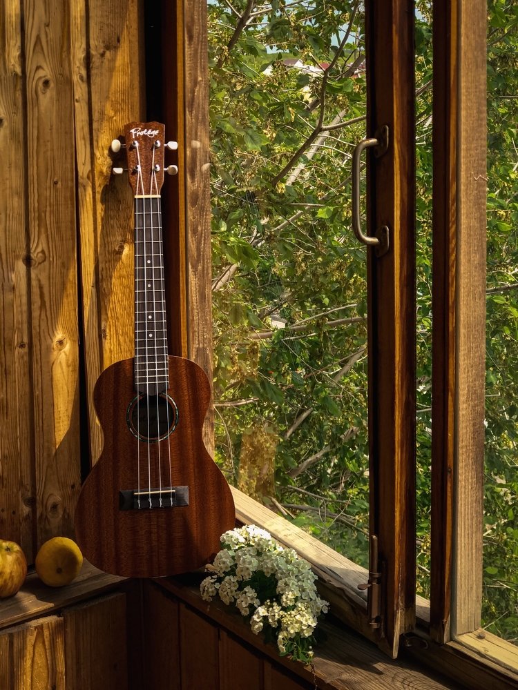 Тихий вечер