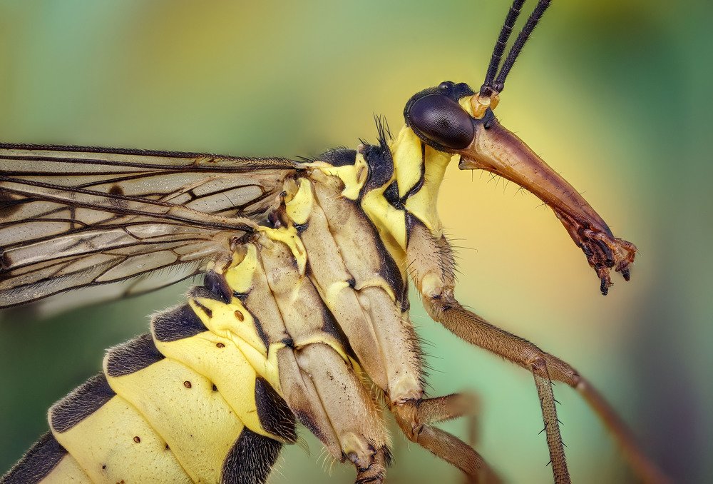 Photograph by Сергей Чупахин