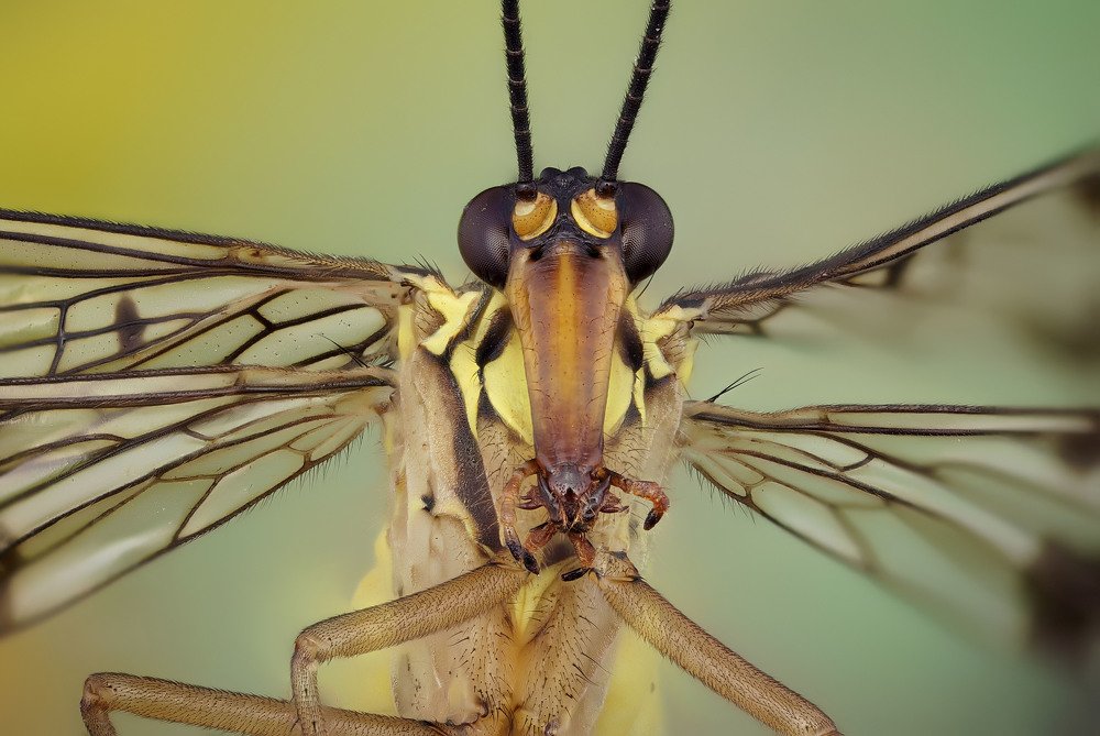 Photograph by Сергей Чупахин