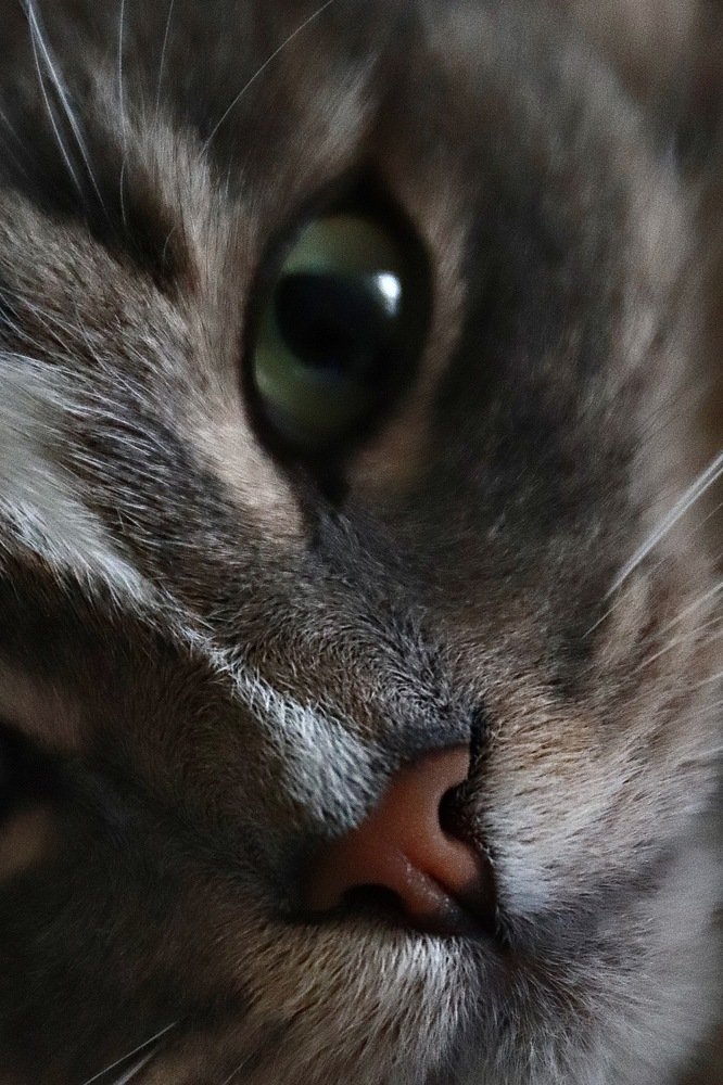 Photograph by Евгения Гудкова