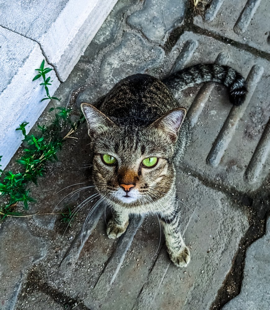 Photograph by TYM XS