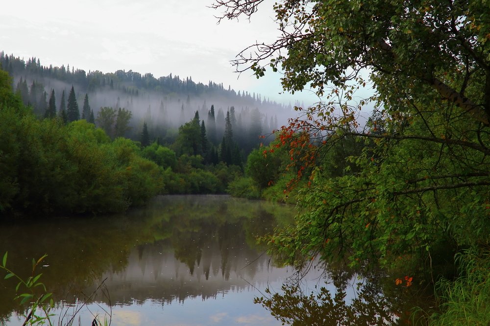 Photograph by Нина Титенкова