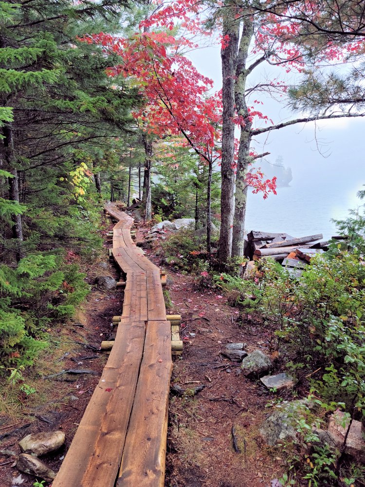 2020 Fall Foliage in the Acadia National Park