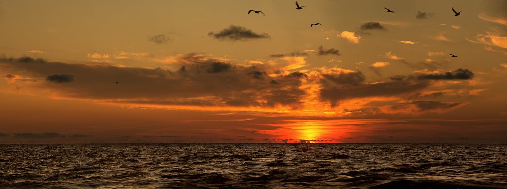 Photograph by Сергей Найбич