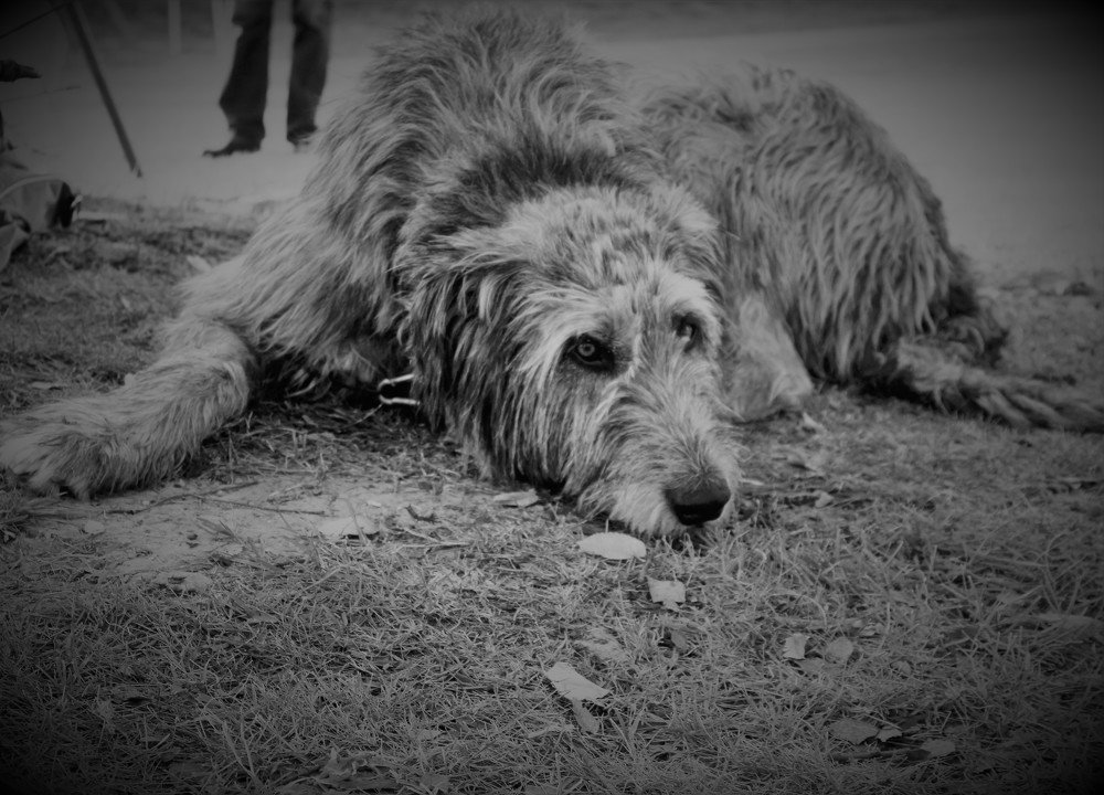 Photograph by Марина Игнатьева