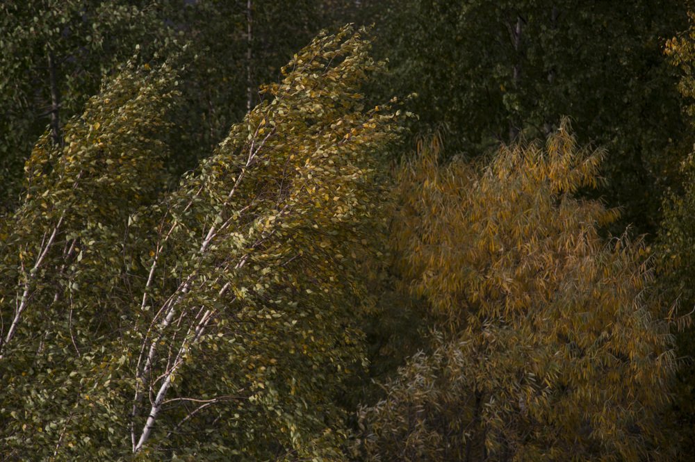 Photograph by Ирина Мутуль