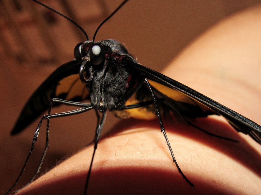 Photograph by Марина Савченко