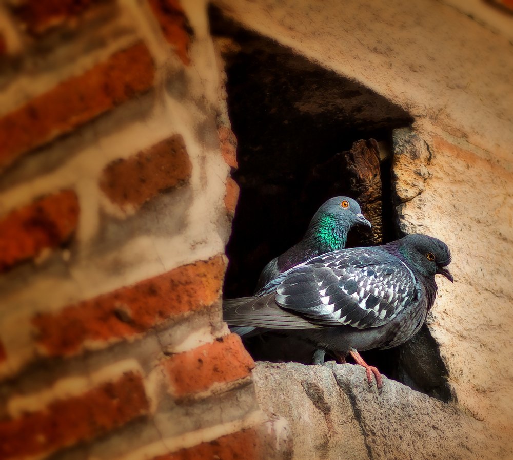 Photograph by AYKUT SEVINC