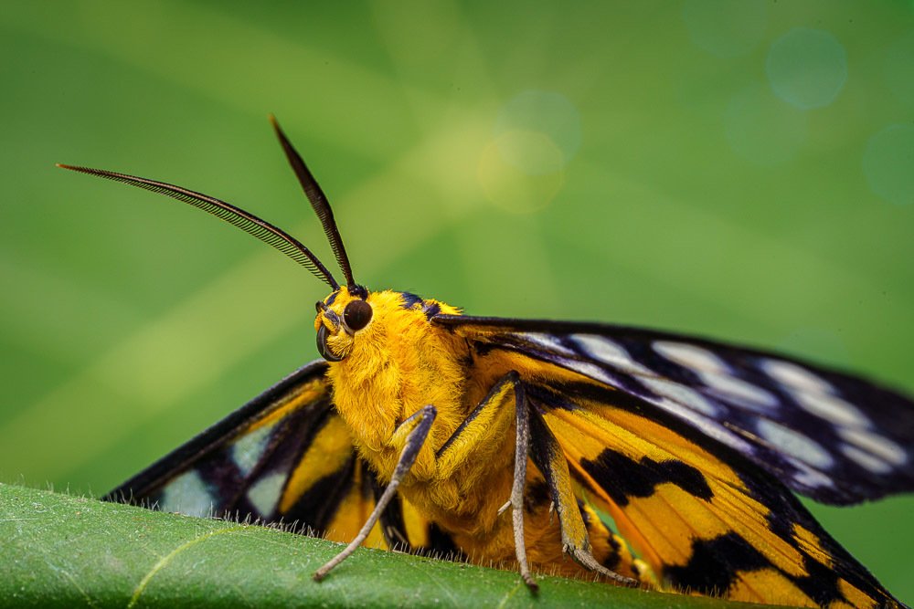 Photograph by Андрей Савин