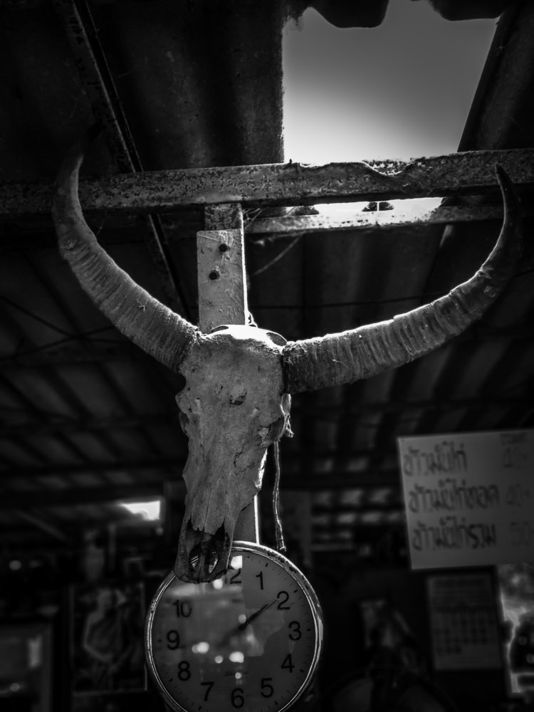 Photograph by TYM XS