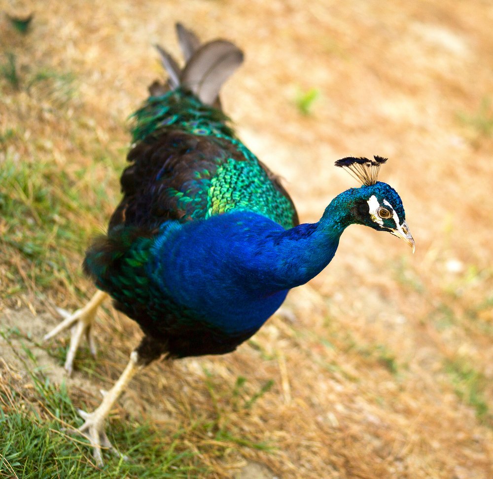 Photograph by AYKUT SEVINC